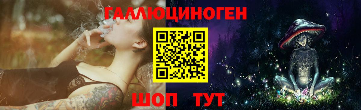 Галлюциногенные грибы Psilocybe  Вход с VPN  цены наркотик  Сланцы 
